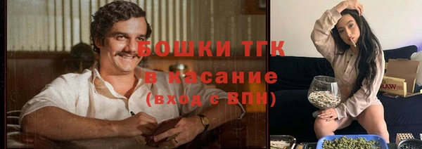 ALPHA-PVP Инсар