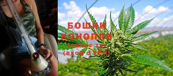 ALPHA-PVP Инсар