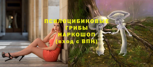 MESCALINE Инта